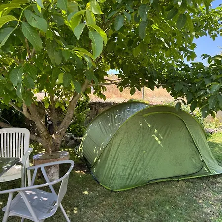 Роскошный шатер Tamaron Camping